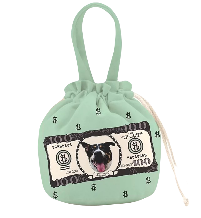 Lunch Tote
