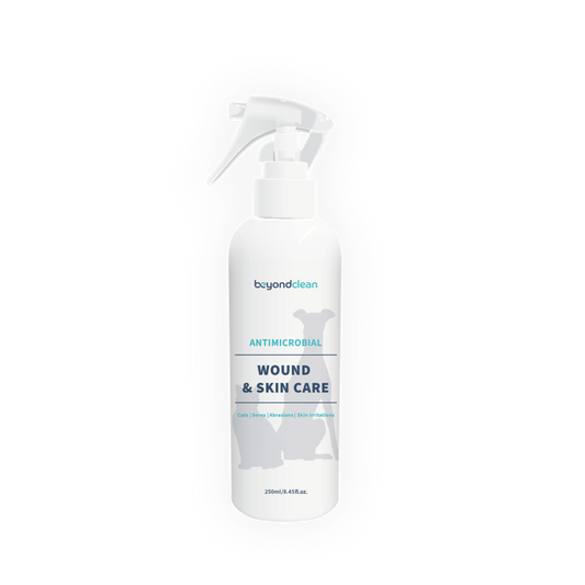 BEYOND CLEAN ANTIMICROBIAL WOUND & SKIN CARE 250ML