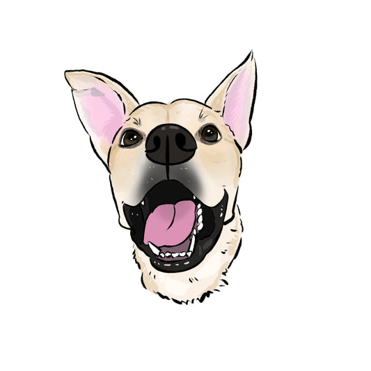 New Brush Doodle